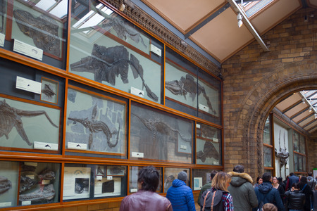 London, UK - July 9, 2018: London England National Historic Museum.のeditorial素材