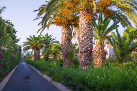 Hersonissos, Crete, Greece- July 17, 2018: The 5 stars Aldemar Knossos Royal Hotel with village-style layout of Royal villas, surrounded by beautiful garden and marble decorated pathsのeditorial素材