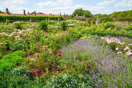 London, UK - July 29, 2019:  West London Bushy park. Beautiful english garden view, with lots of trees and flowers.の写真素材