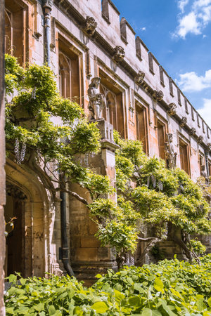 Oxford, UK - June 2, 2021: Magdalen college (1458) Great Tower and galleries view from the inner...