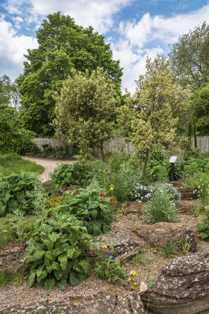 Oxford, UK - June2, 2021: Oxford Botanic garden (founded 1621),  Oxford Universityのeditorial素材