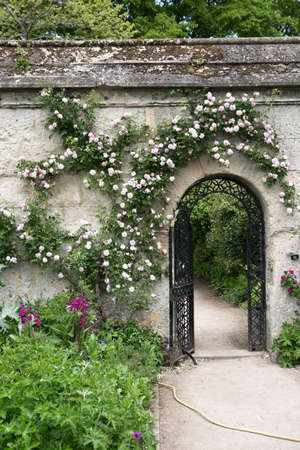 Oxford, UK - June2, 2021: Oxford Botanic garden (founded 1621),  Oxford Universityのeditorial素材