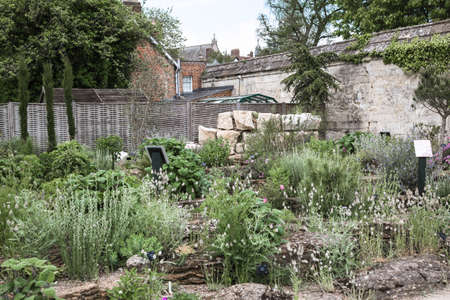 Oxford, UK - June2, 2021: Oxford Botanic garden (founded 1621),  Oxford Universityのeditorial素材