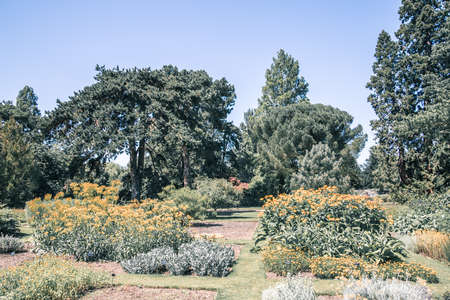 Cambridge, UK - June 2, 2021: Cambridge University botanic garden viewのeditorial素材