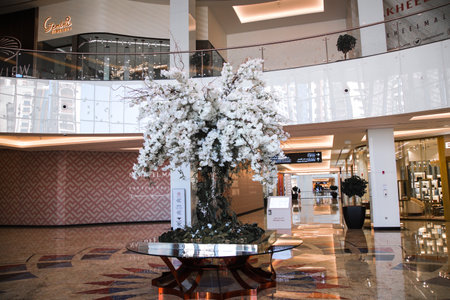 Dubai, UAE - August 28, 2022: The Tower shopping mall entranceのeditorial素材