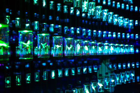 Dubai, UAE - September 2, 2022: Lights display in the Museum of the Futureのeditorial素材