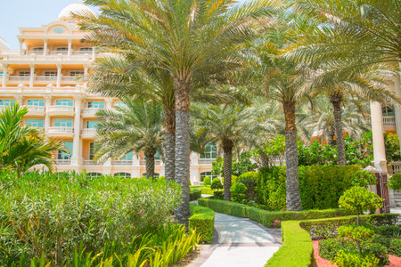 Dubai, United Arab Emirates - August 26, 2023: Beautiful park at Palm Jumeirah at sunny dayのeditorial素材