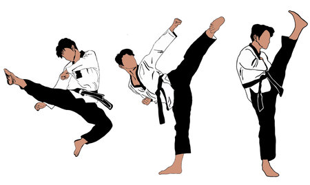 karate, black and white, vector, illustration, karateのイラスト素材