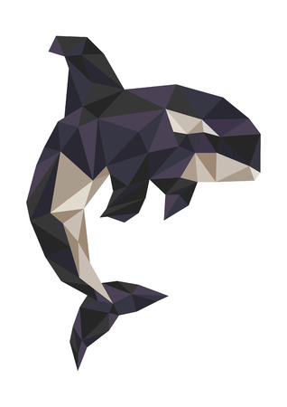 killer whaleのイラスト素材