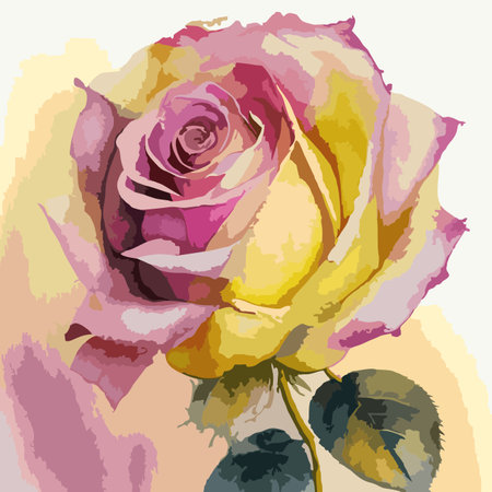 Illustration of a rose with watercolor effect on a white backgroundのイラスト素材
