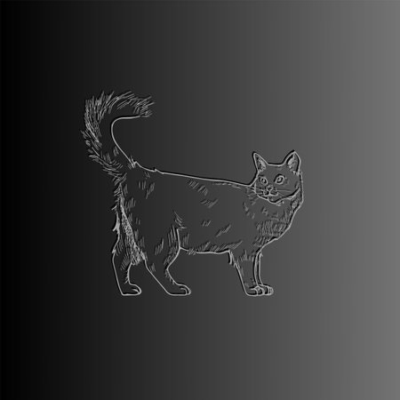 Cute cat on a black background. Vector illustration of a cat.の写真素材