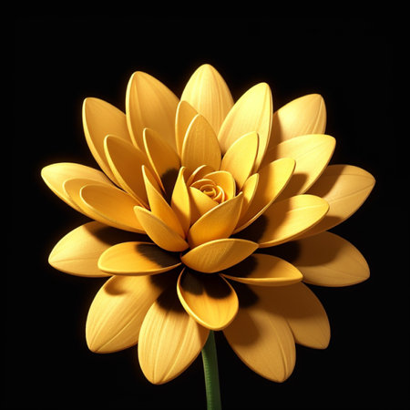 Beautiful yellow flower on black background. Close-up. Nature.の素材