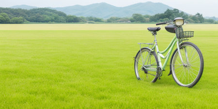 Classic Japanese style bicycle on green fieldの素材
