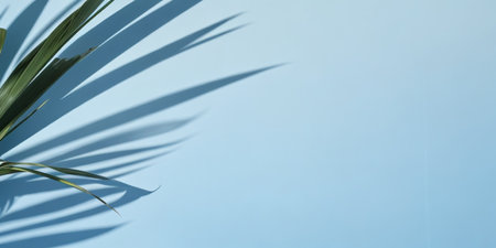 Blurred shadow from palm leaves on the light blue wallの素材