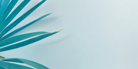Blurred shadow from palm leaves on the light blue wallの素材