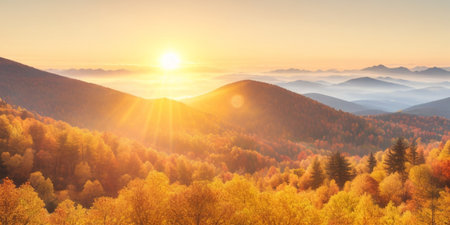 Autumn sunrise in misty mountains with treesの素材