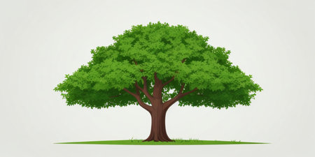 Tree on a white background. Vector illustration of a green tree.の素材