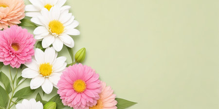 Pink and white daisies on green background with copy space.の素材