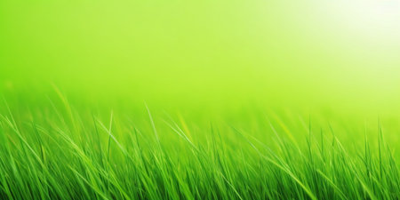 Green grass with bokeh background, abstract nature background with copy spaceの素材