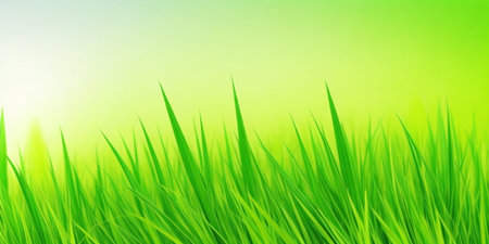 Fresh green grass with sunlight background. Spring or summer nature concept.の素材