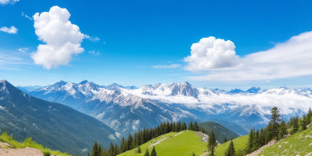 Panoramic view of the Alps in summer, Tyrol, Austriaの素材