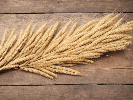 ears of wheat on a wooden background, top view with copy spaceの素材
