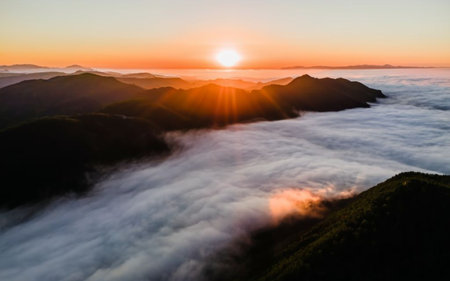 Beautiful sunrise on the mountain in Phu Kradueng National Park, Loei, Thailandの素材