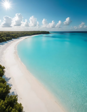 Aerial view of beautiful white sand beach with turquoise water and blue skyの写真素材