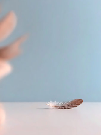 Feather on white table and blue background with copy space for textの写真素材