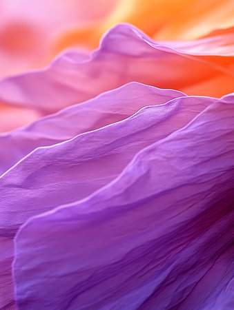 close up of petals of a hibiscus flower.の写真素材