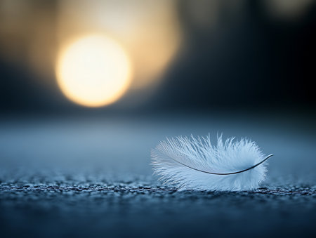 Close up of white feather on blurred background with bokeh effectの写真素材