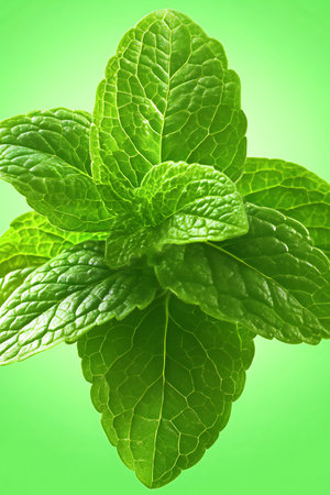 Fresh mint leaves on green background. Shallow depth of field.