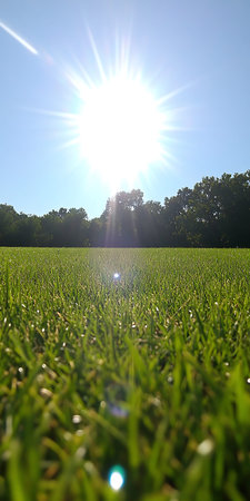 Green grass field and blue sky with sun light and lens flare.