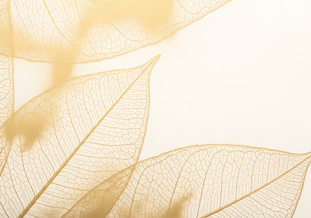 Close up of leaf texture background. Nature concept. Selective focus.