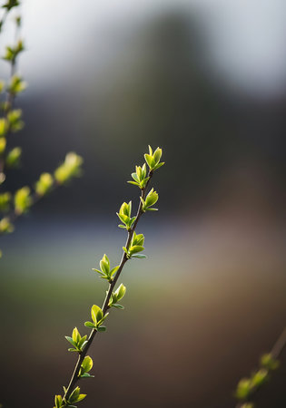 Young green leaves on a tree branch in spring. Shallow depth of field