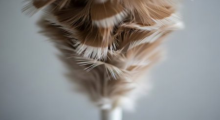 close up of a feather duster on a white background with copy spaceの写真素材