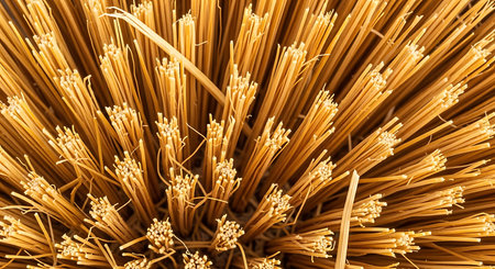 Close up of a pile of spaghetti pasta in a grocery store.