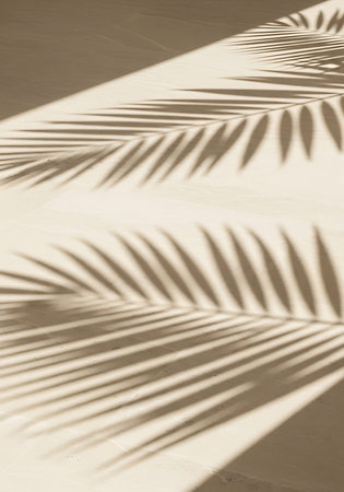 abstract shadows of palm leaf on a white concrete wall background.