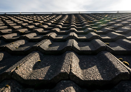 Roof of a house with a roof from a bituminous tile