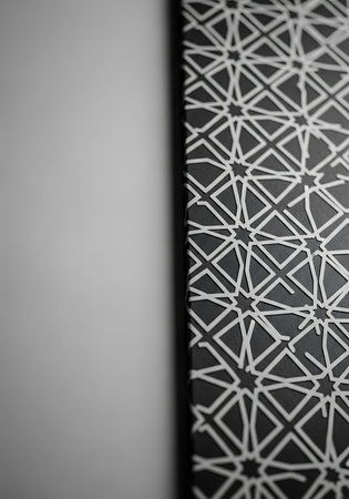 Luxury black and white patterned background. Geometric designの写真素材