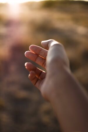 Delicate hands with a sunset backgroundの写真素材