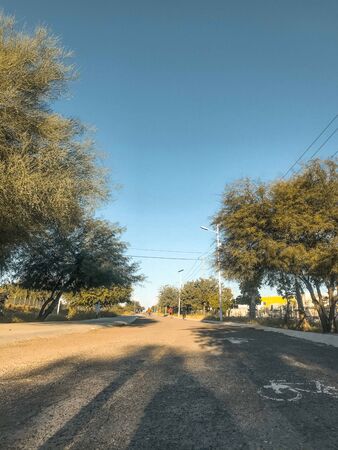 Runner path in a sunny morning with clean sky and green trees.の写真素材