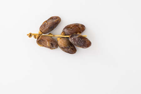 Kurma or dates isolated on white backgroundの写真素材