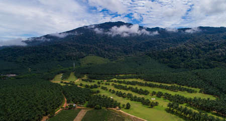 Aerial view of golf field with mountain in background during cloudy sunny day.の写真素材
