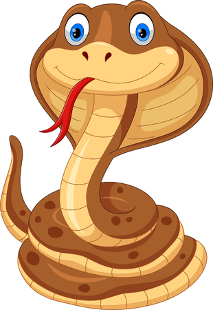 Vector illustration of cobra cartoon is cute and adorable isolated on white backgroundのイラスト素材