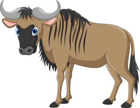 Vector illustration of cute and adorable wildebeest cartoon isolated on white backgroundのイラスト素材