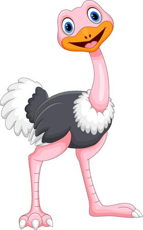 Vector illustration of Cartoon ostrich isolated on white backgroundのイラスト素材