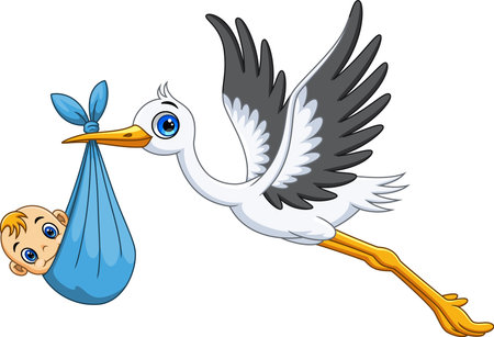 Cartoon of a cute stork carrying a newborn baby on white backgroundのイラスト素材