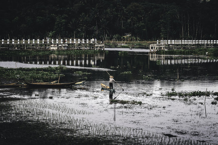 Swampの写真素材