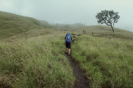 man with backpack hiking on mountainの写真素材